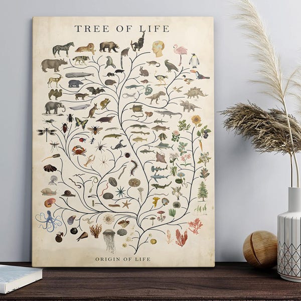 Science and Nature Posters - Etsy UK