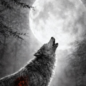 Puede incluir: Ilustración en blanco y negro de un lobo aullando a la luna llena. El lobo tiene detalles de pelaje y una herida roja en el costado. La luna es grande y brillante, con un brillo suave. El fondo es un bosque oscuro.