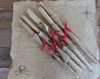 May include: Five rolled up scrolls tied with red ribbon on a brown paper background with a compass and skull and crossbones.