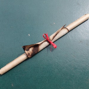 Pergamino antiguo - Papel envejecido - Medieval - Escribano - Renacimiento - Pergamino en blanco - Lista de invitados a la boda - 2 pies x 95 pulgadas