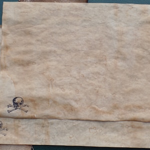 2 cartes au trésor, à remplir vous-même, carte au trésor vierge, papier vieilli, tête de mort, os croisés, authentique, amusant pour les enfants, 30 x 40 cm.