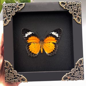 May include: A set of three ceramic mugs with a speckled, matte finish. Each mug features a different color: light blue, cream, and gray. The mugs have a simple, modern design with a rounded shape and a comfortable handle.