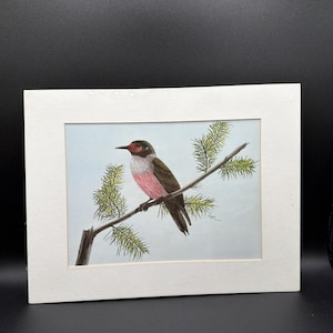 May include: A matted art print featuring a detailed illustration of a bird with a dark head, a red patch near the eye, a white throat, and a pink chest, perched on a pine branch against a light blue background, with a signature in the corner.
