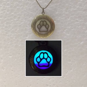 May include: A silver locket necklace with a paw print design. The locket glows blue in the dark.