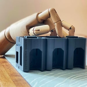PANASONIC DMW-BLF19, soporte para 6 baterías con ranuras para tarjetas SD