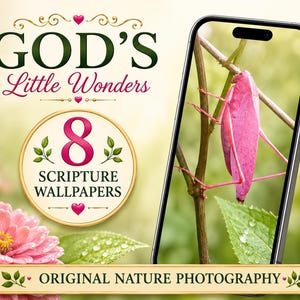 Può includere: Uno smartphone che mostra un insetto rosa su un ramo, con il testo GOD'S Little Wonders, 8 SCRIPTURE WALLPAPERS e ORIGINAL NATURE PHOTOGRAPHY. Un fiore di zinnia rosa con gocce d'acqua si trova in primo piano nel design grafico.