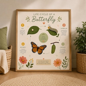 May include: A framed print showing the life cycle of a butterfly. The artwork includes a monarch butterfly, a caterpillar, an egg, and a chrysalis, with the text "Life Cycle of a Butterfly". The print is in a wooden frame.