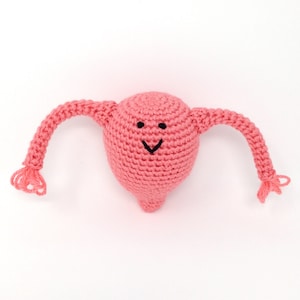 Uterus plush Fallopian Tubes Hysterectomy uterus gift Plush uterus feminism gift  feminist Girl menstruation gift period Women MADE TO ORDER