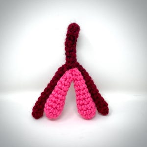 Clitoris Model clit plush model educational sex organ model clitoris sex education sex Ed Valentines Day gift sex positive READY TO SHIP