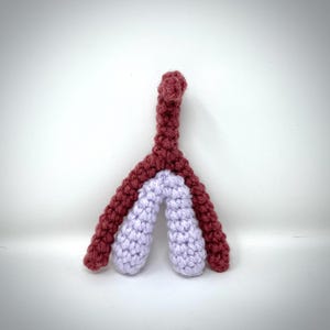 Clitoris Model clit plush model educational sex organ model clitoris sex education sex Ed Valentines Day gift sex positive READY TO SHIP