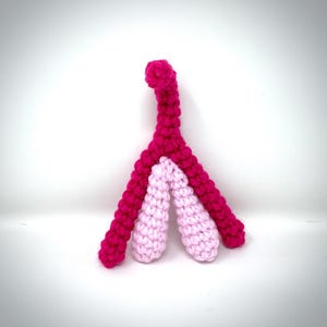 Clitoris Model clit plush model educational sex organ model clitoris sex education sex Ed Valentines Day gift sex positive READY TO SHIP