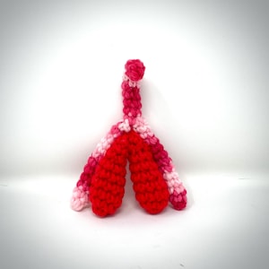 Clitoris Model clit plush model educational sex organ model clitoris sex education sex Ed Valentines Day gift sex positive READY TO SHIP
