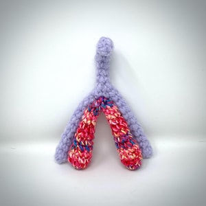 Clitoris Model clit plush model educational sex organ model clitoris sex education sex Ed Valentines Day gift sex positive READY TO SHIP