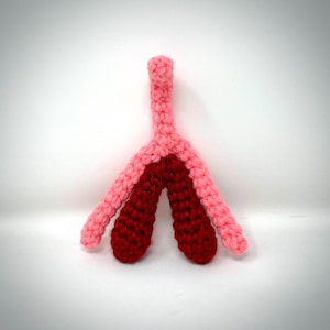 Clitoris Model clit plush model educational sex organ model clitoris sex education sex Ed Valentines Day gift sex positive READY TO SHIP