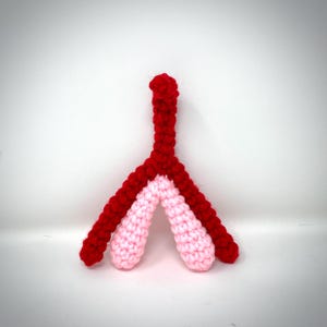 Clitoris Model clit plush model educational sex organ model clitoris sex education sex Ed Valentines Day gift sex positive READY TO SHIP