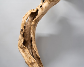 Drijfhouten vloerlamp, lamp natuurlijk wortelhout, zwarte kap rustiek boho-accentlicht