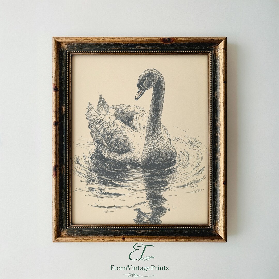 Swan Ink Drawing Printable Minimalist Swan Ink Sketch - Elegant Vintage Art, Serene Swan ...