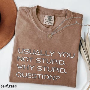 May include: Espresso-colored t-shirt with the text "USUALLY YOU NOT STUPID. WHY STUPID, QUESTION?" in white. The shirt has a crew neck and a small tag. A silver necklace with a pendant is draped across the shirt.
