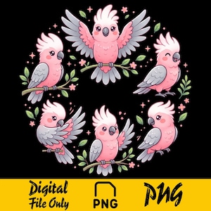Galah Cockatoo Pattern Pink Parrot Funny Bird Doodles PNG, Cute Animal Repeat Design png, Whimsical Avian Art