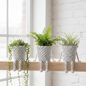 Puede incluir: Tres macetas grises moteadas con patas adjuntas, cada una con una planta diferente. Las macetas tienen un diseño texturizado y arremolinado. Una contiene una suculenta con enredaderas, otra un helecho y la tercera una planta aérea.