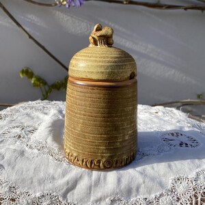 Tarro de miel de cerámica vintage – Tarro de gres con tapa de abeja – Decoración de cocina en Charmouth, Dorset