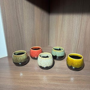 Puede incluir: Colección de cinco pequeñas tazas de cerámica redondas con un esmalte texturizado único. Las tazas presentan una variedad de colores, incluyendo verde, naranja, amarillo y crema, con una base marrón oscuro. Se exhiben en una estantería de madera.