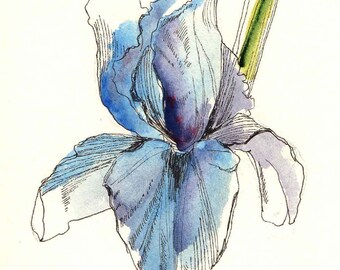 Pretty as a picture!-Collection of 8 cards, various botanical flowers.