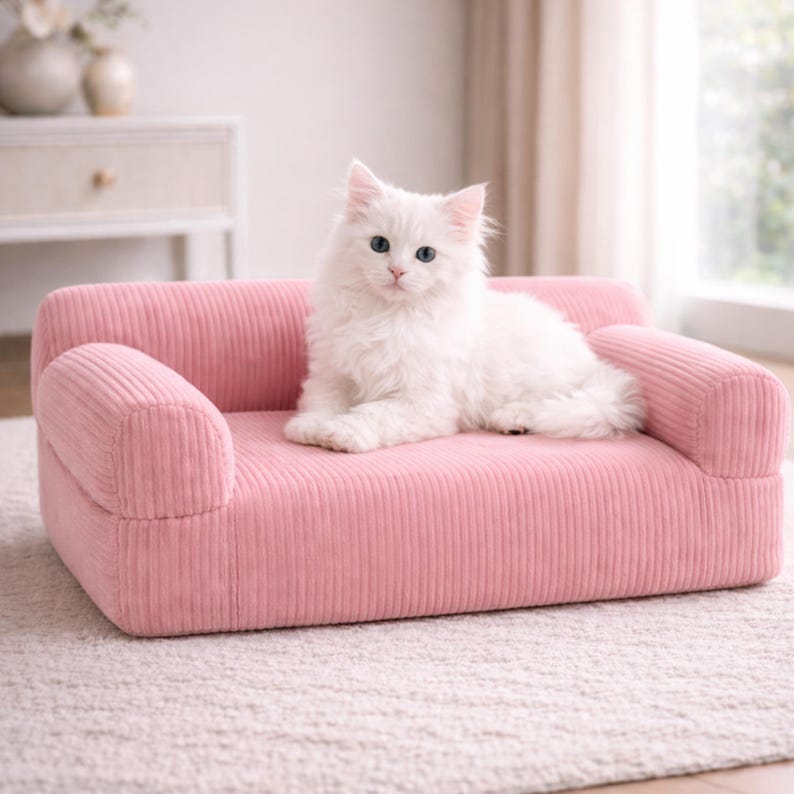 K&ouml;nnte beinhalten: Eine wei&szlig;e Katze mit blauen Augen sitzt auf einem kleinen, rosa Cord-Sofa. Das Sofa hat abgerundete Armlehnen. Die Katze ist mittig auf dem Sofa platziert und blickt in die Kamera. Der Hintergrund ist in einer weichen, neutralen Farbe gehalten.