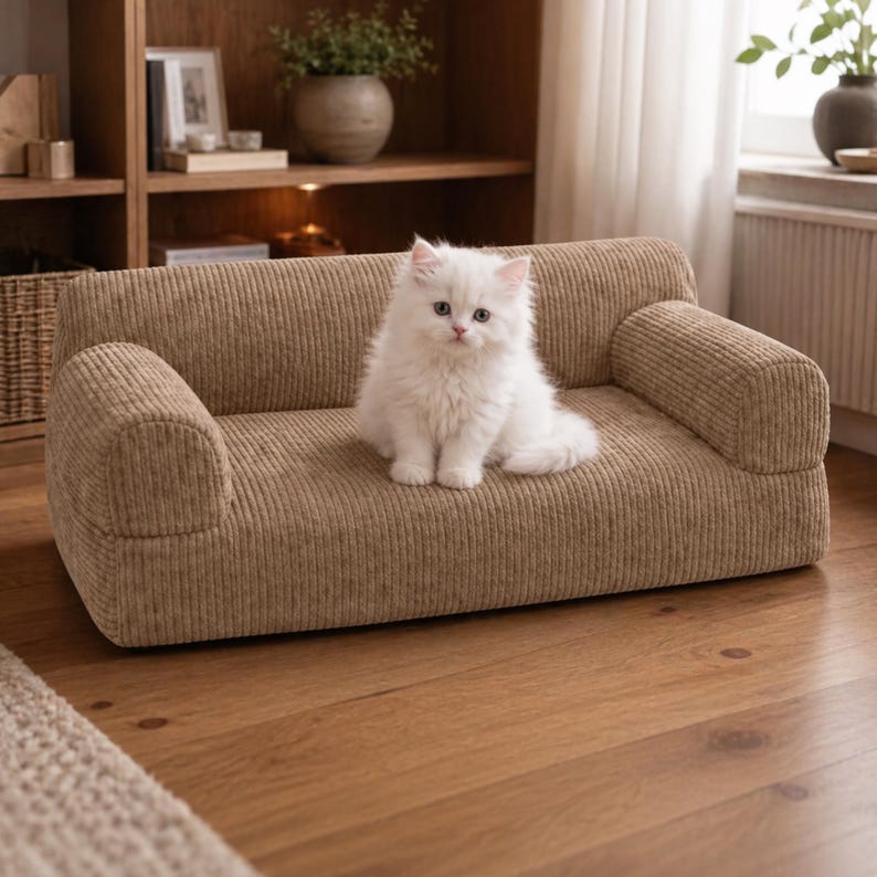 K&ouml;nnte beinhalten: Ein kleines Haustiersofa aus beigefarbenem Cord. Eine wei&szlig;e Katze mit flauschigem Fell sitzt auf dem Sofa. Das Sofa hat abgerundete Armlehnen und ist f&uuml;r den Komfort von Haustieren konzipiert. Es steht auf einem Holzboden.