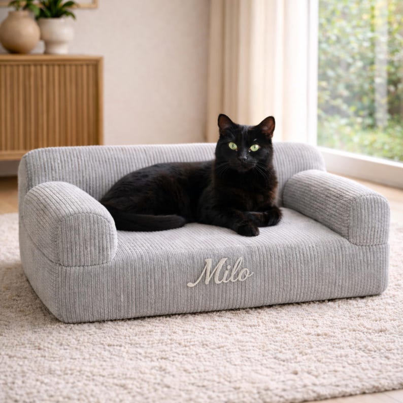 K&ouml;nnte beinhalten: Ein graues Cord-Haustiersofa mit dem Namen "Milo" in Schreibschrift. Eine schwarze Katze mit gr&uuml;nen Augen liegt auf dem Sofa. Das Sofa hat Armlehnen und steht auf einem hellen Teppich.