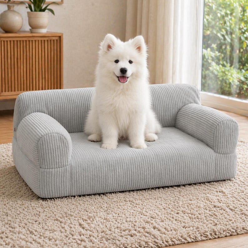 K&ouml;nnte beinhalten: Ein flauschiger, wei&szlig;er Hund sitzt auf einem hellgrauen Hundesofa aus Cord. Das Sofa hat eine rechteckige Basis mit abgerundeten Armlehnen und einer passenden R&uuml;ckenlehne. Der Hund ist ein Samojede mit fr&ouml;hlichem Gesichtsausdruck.