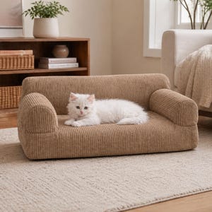 K&ouml;nnte beinhalten: Ein kleines Haustiersofa aus beigefarbenem Cord. Das Sofa hat eine niedrige Form mit abgerundeten Armlehnen und einer rechteckigen Sitzfl&auml;che. Eine flauschige, wei&szlig;e Katze liegt auf dem Sofa. Das Sofa steht auf einem neutralfarbenen Teppich.