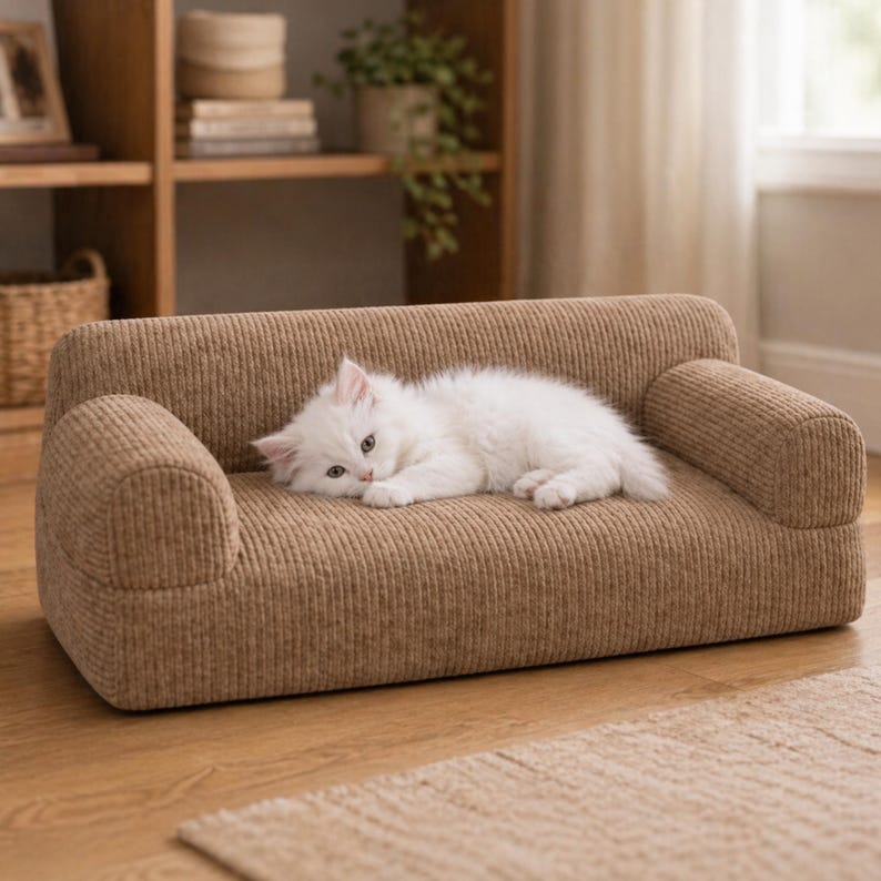 K&ouml;nnte beinhalten: Ein kleines, braunes Haustiersofa aus Cord mit abgerundeten Armlehnen. Eine flauschige, wei&szlig;e Katze liegt auf dem Sofa. Das Sofa steht auf einem Holzboden, mit einem Teppich im Vordergrund. Im Hintergrund befindet sich ein B&uuml;cherregal.