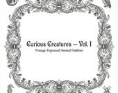 Curious Creatures Tattoo Flash – Vintage Engraved Animal Illustrations (Digital Download)