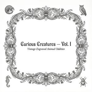 May include: Black and white illustration featuring a decorative frame with the text "Curious Creatures - Vol. I Vintage Engraved Animal Oddities." The frame is adorned with detailed floral and foliate elements, and includes illustrations of an owl, seahorse, beetle, and pangolin.