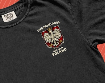 Distressed Polish Eagle Crest T-Shirt, Two Homelands Streetwear Tee
