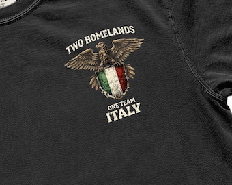Distressed Roman Eagle Italy T-Shirt, Two Homelands Streetwear Tee