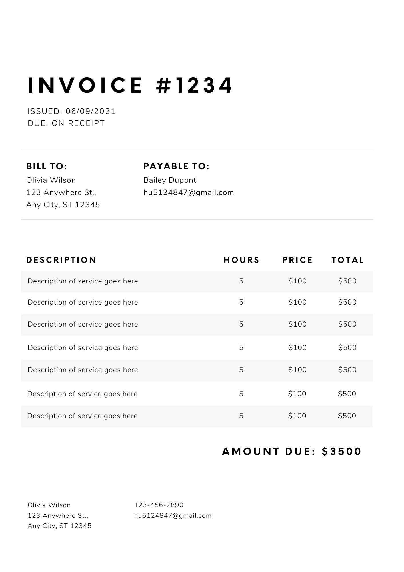 Editable Invoice Template Bundle for Google Docs, Microsoft Word Excel ...