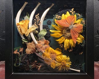 8x8 Rib and Butterfly Shadowbox
