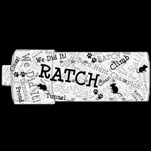 Peut inclure: Graphique en noir et blanc avec le mot "RATCH" en grandes lettres. Le design comprend des empreintes de pattes, des silhouettes de rats et des phrases comme "We Did It!" et "Climb." L'arrière-plan est rempli de texte plus petit.
