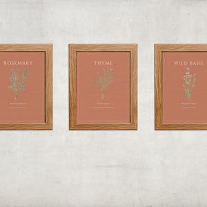 Vintage Kitchen Herb Prints Set | Rosemary Thyme Basil Wall Art | Rustic Botanical Decor | Cottagecore Kitchen Prints (Digital Download)