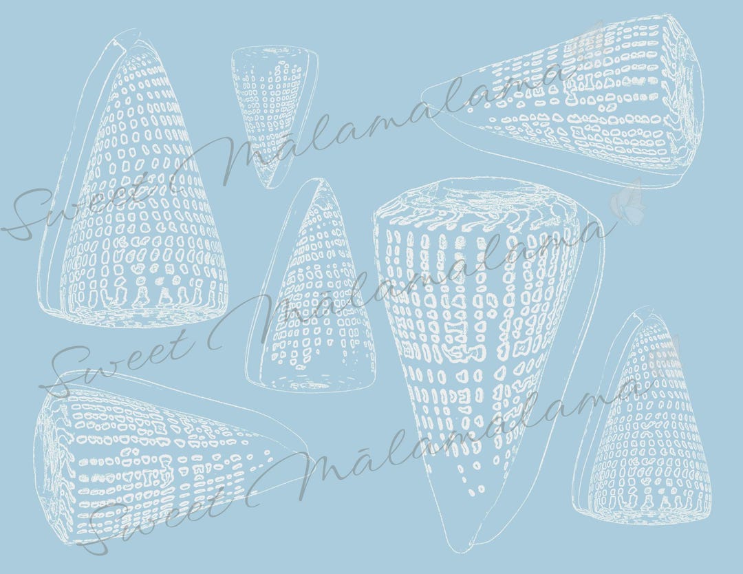 Cone Shell Pattern Leopard Cone Shell Pattern | Hawaii Shell SVG, PNG (digital Download ...