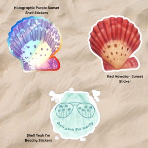 May include: Three seashell stickers: one holographic purple sunset shell, one red Hawaiian sunset shell, and one light green shell featuring a graphic of sunglasses with palm trees inside and the text Shell yeah I'm beachy.