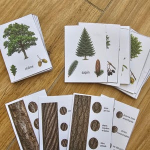 Può includere: Un set di schede didattiche con illustrazioni di vari alberi, tra cui una quercia con il testo chêne e un abete con il testo sapin. Altre schede mostrano fotografie dettagliate di texture di corteccia d'albero con testo descrittivo.