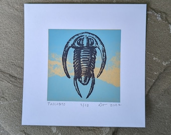 Little Trilobite Silkscreen Print | Fossil Art | Paleontology Wall Art | Invertebrate Fossils Screen Print | Pop Art Fossil Print