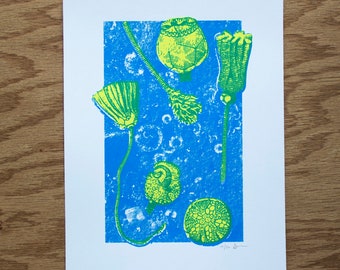 Crinoids Silkscreen Print | Fossil Art | Paleontology Wall Art | Echinoderm Fossils Screen Print | Pop Art Fossil Print