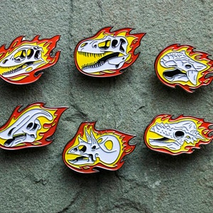 Dinosaur Enamel Pin Set | Fossil Skull | Science Geek Gift | Paleontology lapel pin