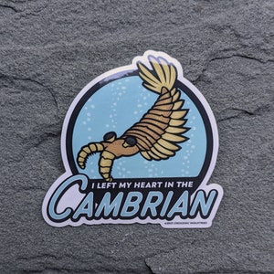 Ho lasciato il mio cuore nel Cambriano / Adesivo paleontologia / Regalo per appassionati di scienza / Adesivo per laptop fossile