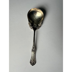 Wm Rogers & Son AA Arbutus Silver Plate Shell Serving? Spoon Antique 1908 Floral