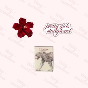 Può includere: Un fiore di ibisco rosso intenso, un adesivo con la scritta "pretty girls study hard" e una piccola scatola con un'illustrazione di leopardo e il logo Cartier, il tutto su uno sfondo rosa chiaro.